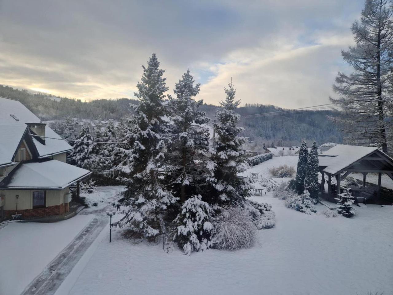 Beskid Ski Villa Wisła Esterno foto