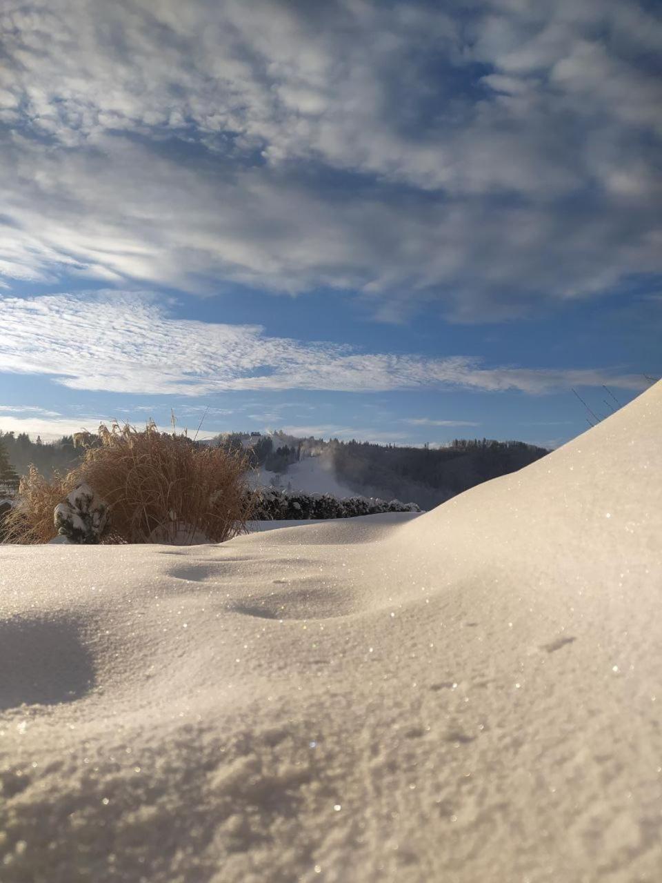 Beskid Ski Villa Wisła Esterno foto
